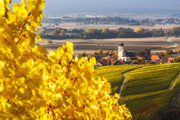 Wall Mural - Picturesque autumn countryside landscape with colorful vineyards and historic village. Black Forest, Germany. Scenic wine-making and hiking background. Popular travel destination.