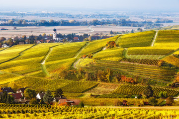 Wall Mural - Picturesque autumn countryside landscape with colorful vineyards and historic village. Black Forest, Germany. Scenic wine-making and hiking background. Popular travel destination.