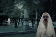 Zombie Graveyard Ghosts 