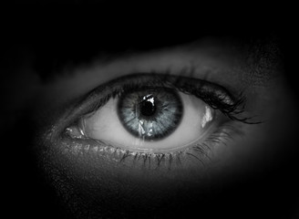 Macro shot of female human eye in black and white toned.