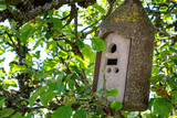Fototapeta Miasto - Garden. An old birdhouse made of ceramics hangs in a tree.