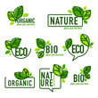 doodle organic leaves emblems, elements,  frames and logo