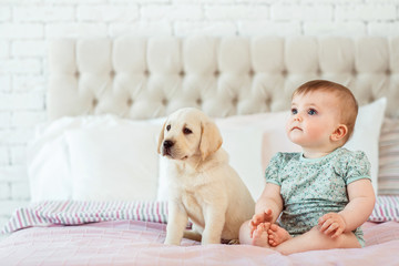 Canvas Print - Little baby girl sit on the bed with labrador puppy