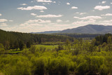 Fototapeta Dmuchawce - landscape with forest on the background of the Ural mountains on a clear Sunny day