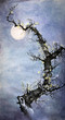 Flowering plum and moon
