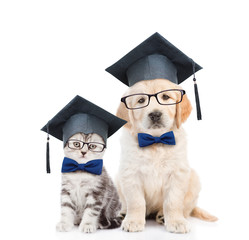 Poster - Kitten and Golden retriever puppy with black graduation hats and eyeglasses sitting together. isolated on white background
