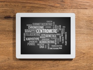 Canvas Print - Centromere