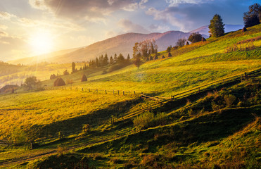  agricultural fields on hills at sunrise