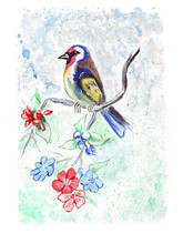 Different Colorful Birds Of Different Breeds: Chickadee, Hummingbirds, Parrots And Other