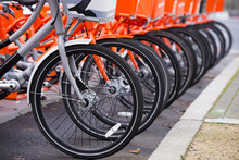 Not Like All The Other Gray Bicycle Among Orange