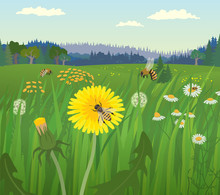Landscape With Bees On The Flower Meadow