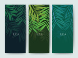 Fototapeta Sypialnia - Branding Packaging palm coconut bamboo tree leaf nature background, logo banner voucher, spring summer tropical, vector illustration