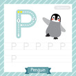 © natchapohn - Letter P uppercase tracing practice worksheet with penguin for kids learning to write. Vector Illustration.