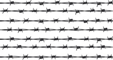 Rows Of Barbed Wire