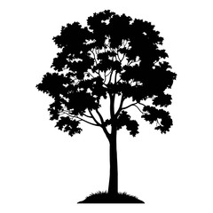 maple tree with leaves and grass black silhouette isolated on white background. vector