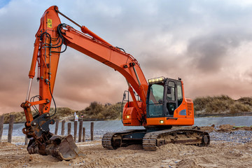 Poster - grue en gros plan à l'aube