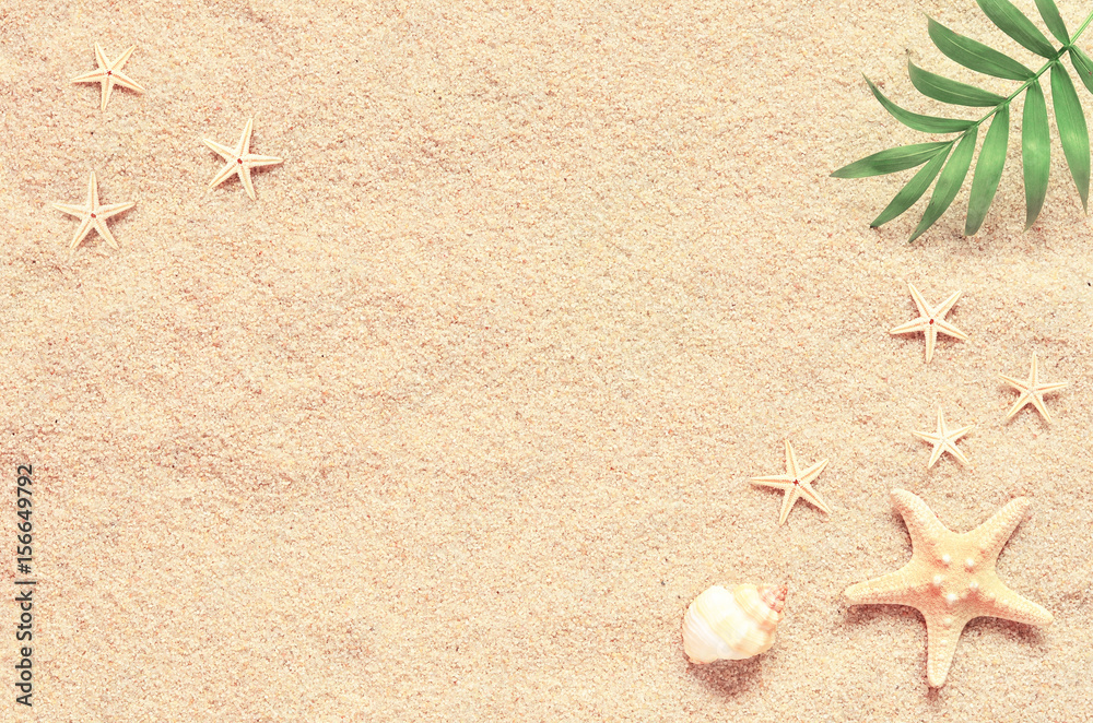 Sea sand with starfish and shells. Top view with copy space Stock Photo ...