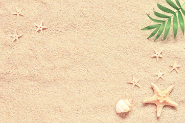 Sea sand with starfish and shells. Top view with copy space