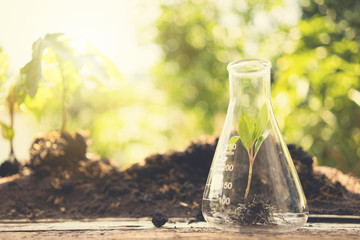 Work desk of Scientist working with researching plant. Agriculture and scientist concept.