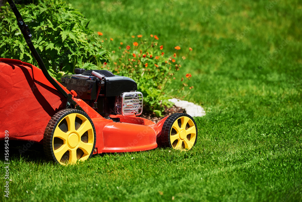 Rasenmaher Im Garten Rasen Mahen Foto Poster Wandbilder Bei