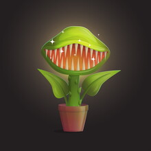 Venus Flytrap Flower Carnivorous Plant Illustration