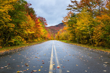 deserted mountain road on a rainy autumn day. gorgeous fall colors. adirondacks, upstate new york