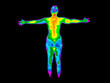 Thermographic image of the back of the whole body of a woman with photo showing different temperatures in range of colors from blue showing cold to red showing hot, can indicate joint inflammation. 