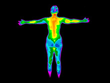 Thermographic Image Of The Back Of The Whole Body Of A Woman With Photo Showing Different Temperatures In Range Of Colors From Blue Showing Cold To Red Showing Hot, Can Indicate Joint Inflammation. 