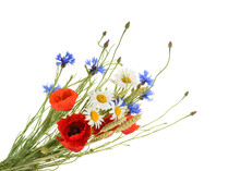 Bouquet Of Beautiful Flowers (Cornflowers, Chamomiles Wheat And Poppies) Isolated Without Shadow