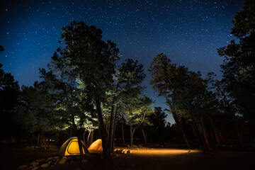 Two tents set among the trees in a camping site in a park with a lot of stars in the night sky