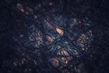 Fototapeta Konie - Dark microscopic organic section, texture, background.