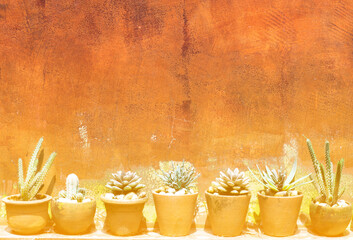 Aufkleber - Small Cactus,Old concrete mortar wall background with space for your design
