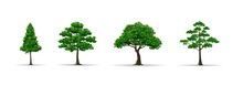 Tree Set Realistic Vector Illustration