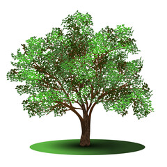 Wall Mural - detached tree with green leaves