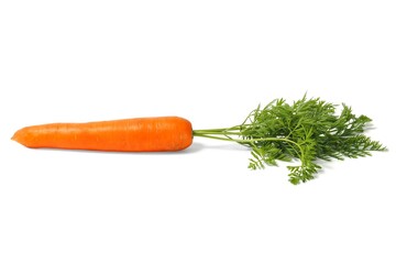 Wall Mural - fresh carrot on white