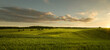 Panoramic view of empty grass field at the sunset with copy space