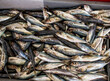 Frischer Fisch auf dem Fischmarkt