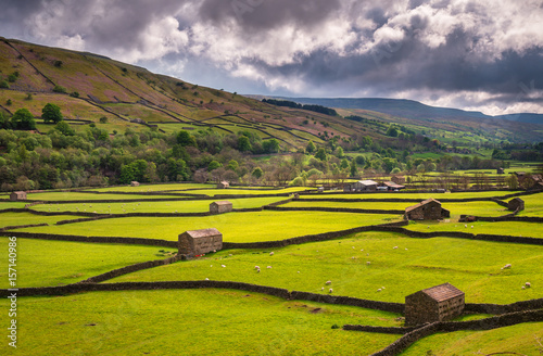 Field Barns At Gunnerside Swaledale In Yorkshire Dales National