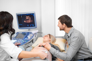 Wall Mural - Back view of female doctor screening stomach of woman using special tool and gel. Mom looking at picture of baby. Lovely husband carrying about pregnant wife on procedure of ultrasound in hospital.