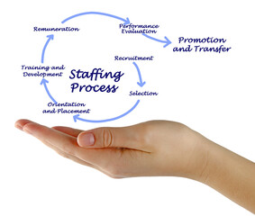 Poster - Staffing Process