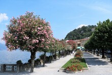 Holidays In Bellagio At Lake Como In Summer, Lombardy Italy 