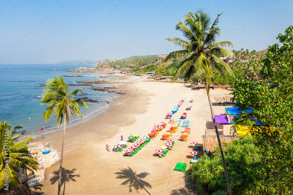 Beach in Goa, India - obrazy, fototapety, plakaty 