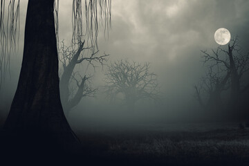 Wall Mural - Horror dark night forest halloween background