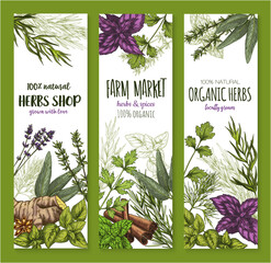 Wall Mural - Herb and spice, natural food sketch banner set