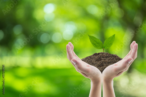 Fotografía Hand holding soil and tree of nature background with environment concept