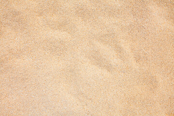 Wall Mural - sand background