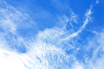 Wall Mural - the brigth blue sky background on the day