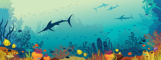 Underwater marine life - coral reef and marlin fish.