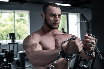 Wall Mural - Concentrated young shirtless bodybuilder training with weight machine at gym