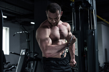 Wall Mural - young shirtless bodybuilder doing biceps workout with weight machine